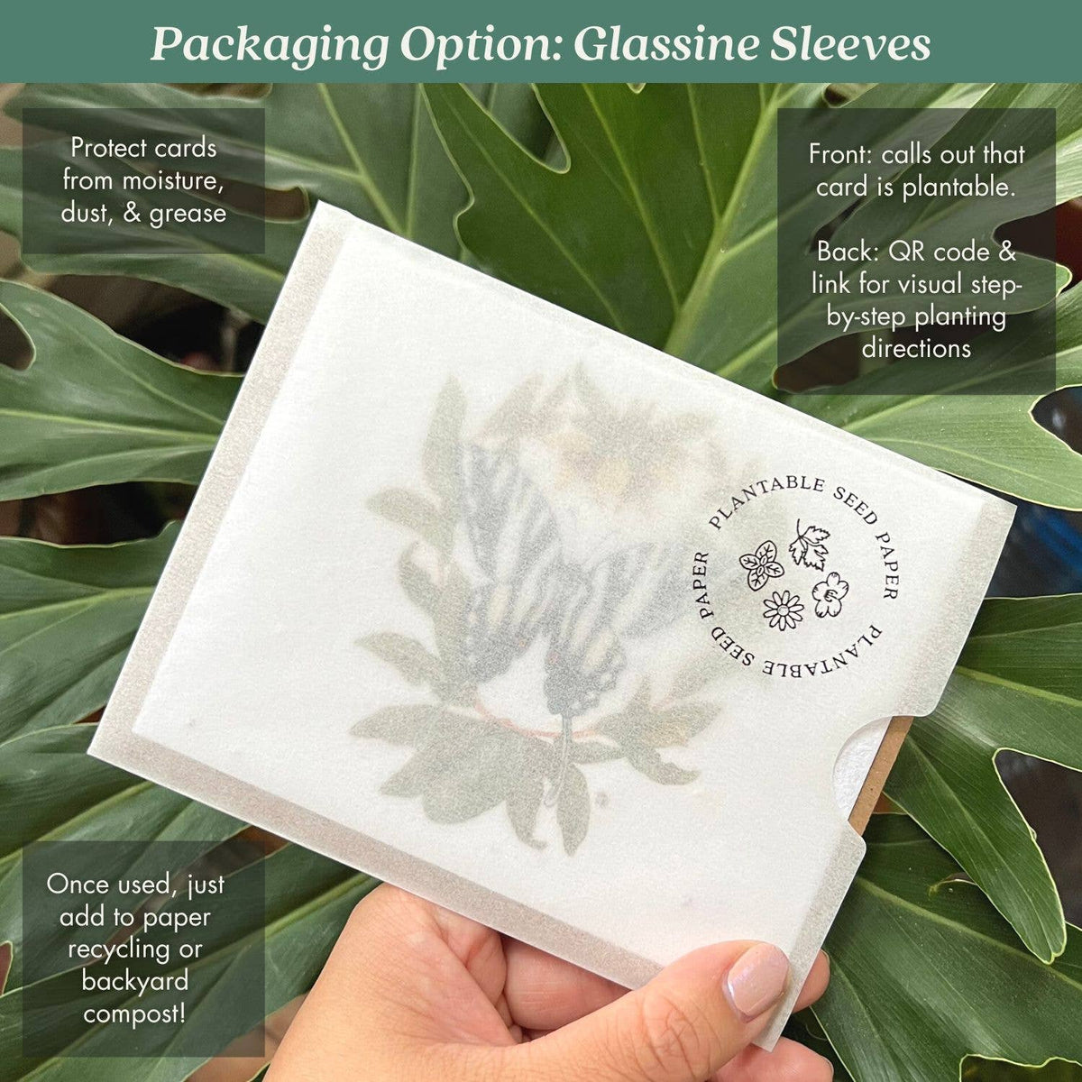 Hurray for Change Butterfly | Plantable Wildflower Seed Card