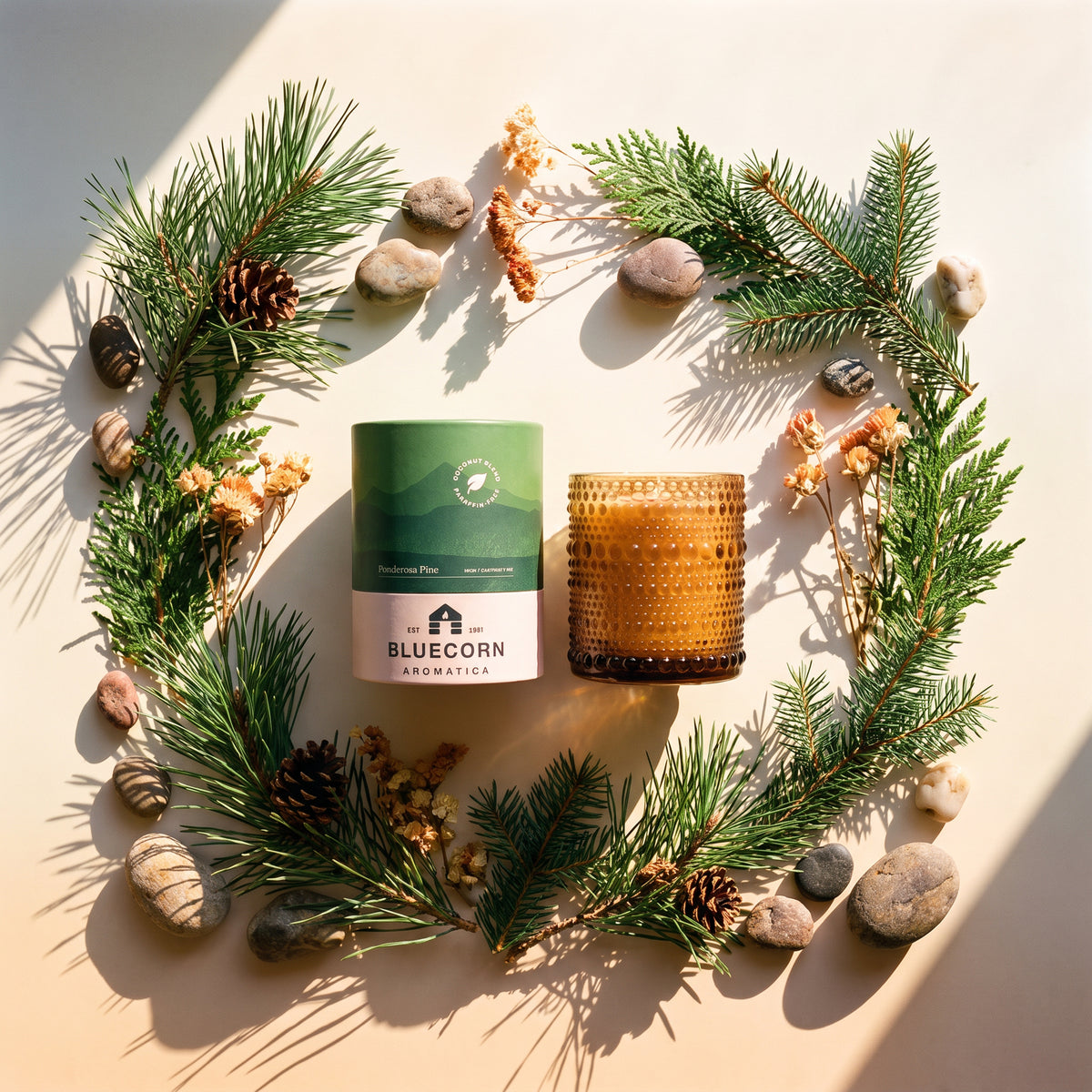 pine scented candle surrounded by juniper and fir needs bluecorn candles