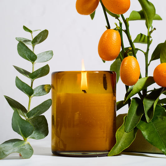 A lit bluecorn beeswax candle in a brown glass jar with a branch of oranges and green leaves on a light background
