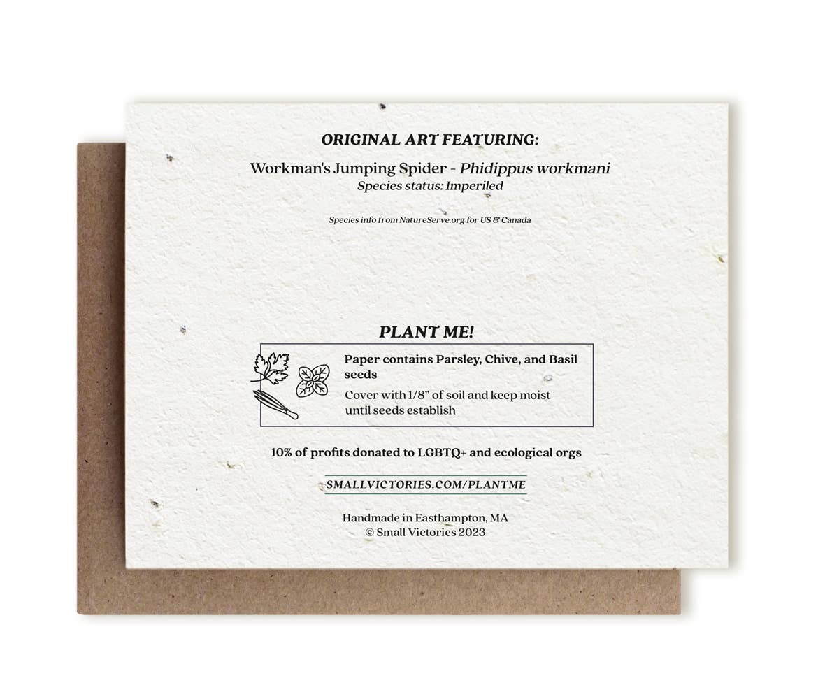 I Only Have Eyes for You Spider | Plantable Herb Seed Card