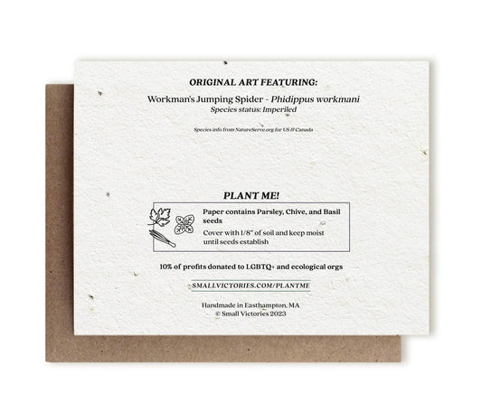I Only Have Eyes for You Spider | Plantable Herb Seed Card