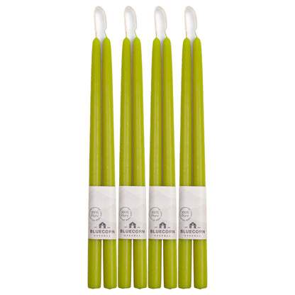 Clearance Candles - 4-Pair 16" Pistachio Hand-Dipped beeswax tapers with white background