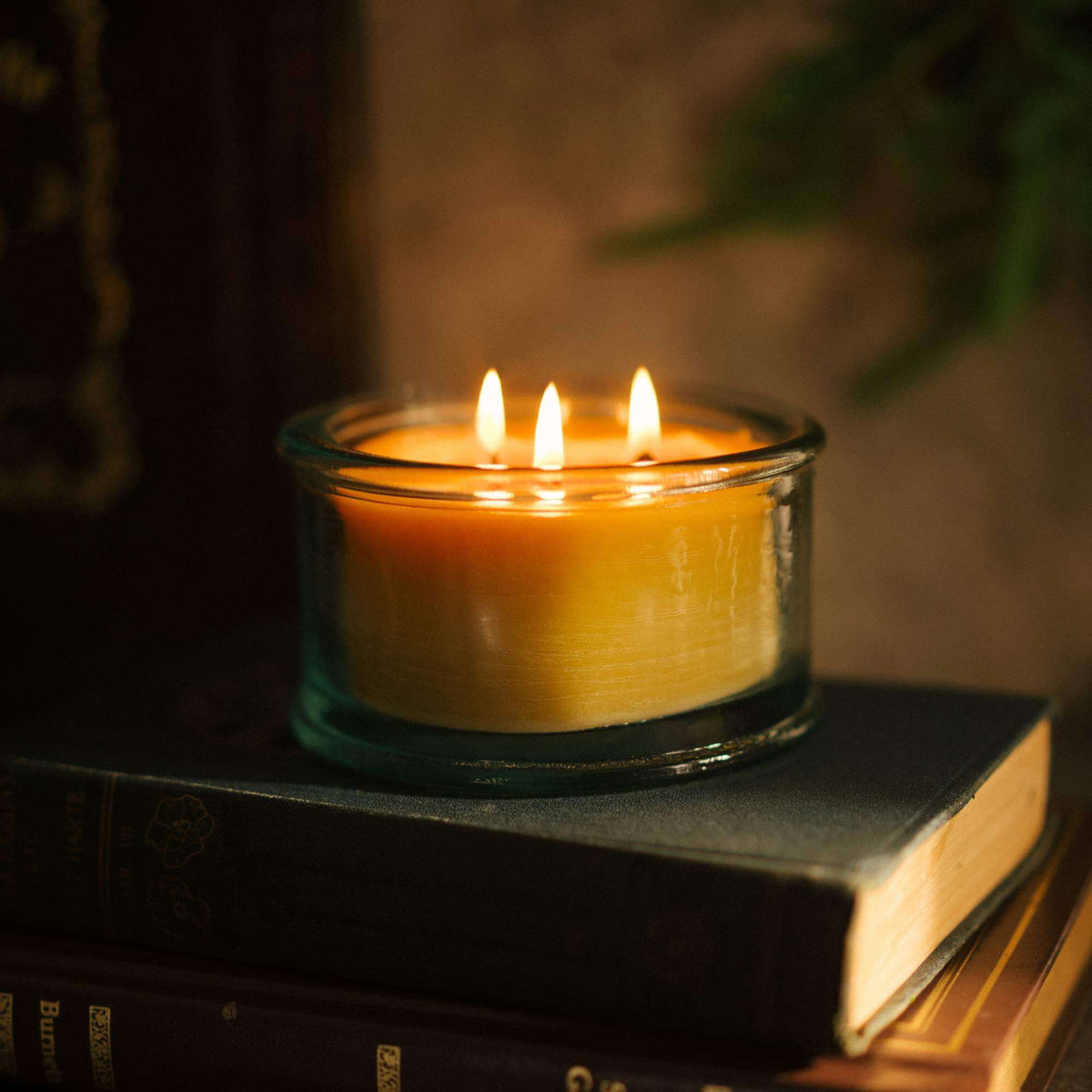 3-wick pure beeswax candle burning sitting on top of a book