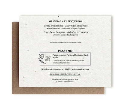 Zebra Swallowtail Butterfly & Pawpaw | Plantable Herb Card