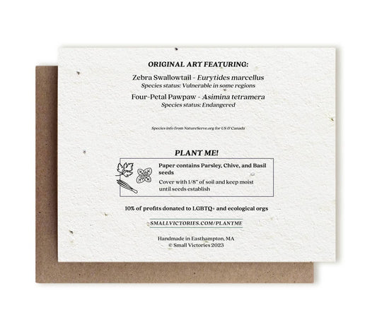 Zebra Swallowtail Butterfly & Pawpaw | Plantable Herb Card