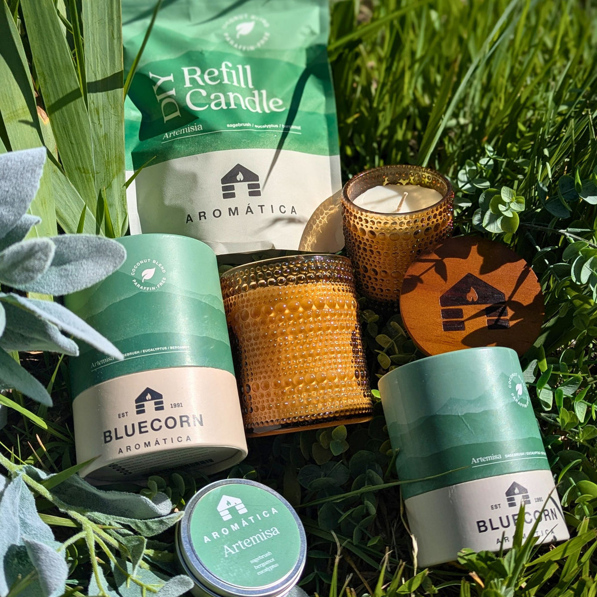 Bluecorn Aromática Coconut Wax Candles Artemisa- Sample Tin, Refill Kit, Small & Large glass candle lying in grass with greenery