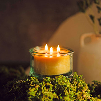 3-Wick pure beeswax candle burning 