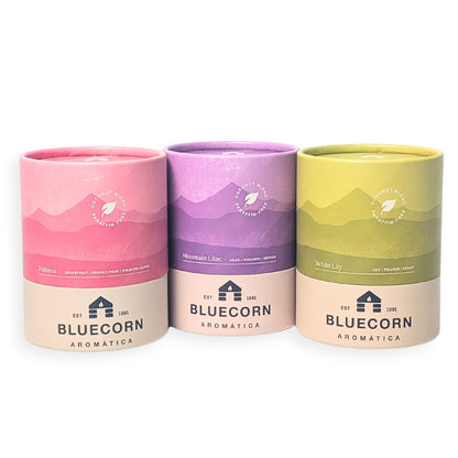 Three Bluecorn Aromática Scented Candles - Paloma, White Lily & Mountain Lilac in Bluecorn branded tubes with white background