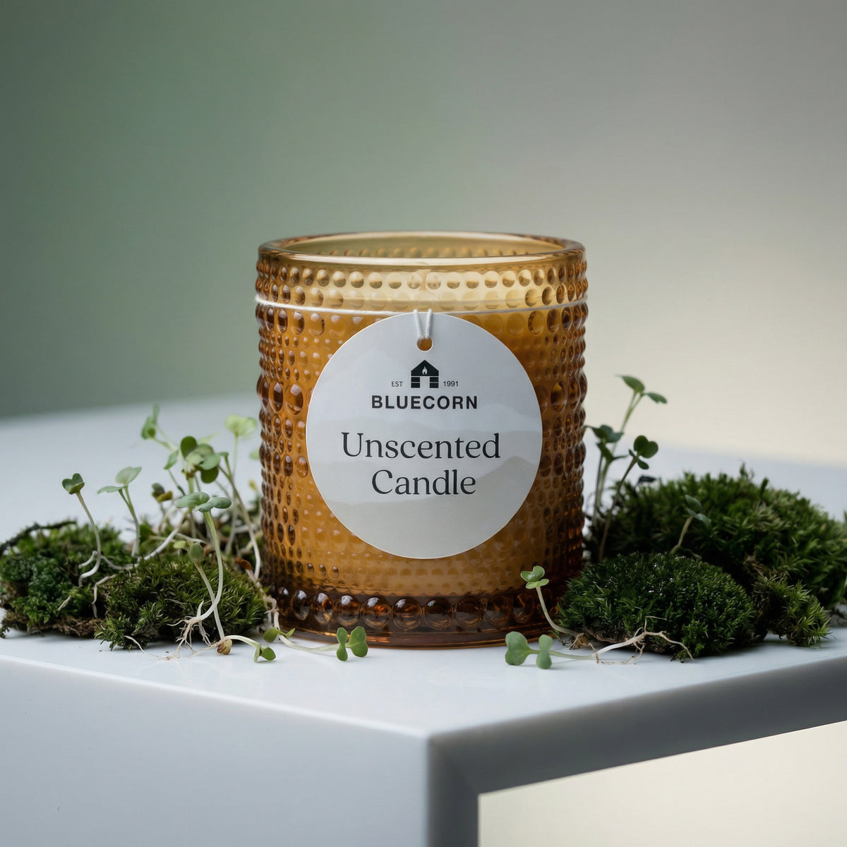 Unscented Coconut Wax Candles in amber glass with cotton wick surrounded by green moss.