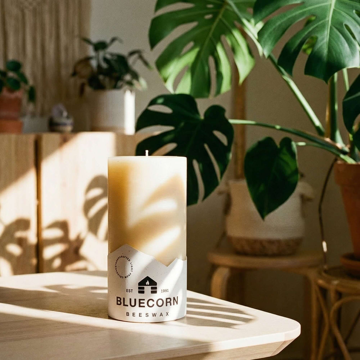 A Ivory pure beeswax pillar candle from bluecorn candles with white bluecorn label on a sun-lit table with plants in the background