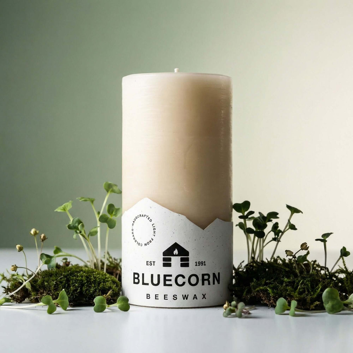 A Ivory pure beeswax pillar candle from bluecorn candles with white bluecorn label surrounded by greenery with a neutral background