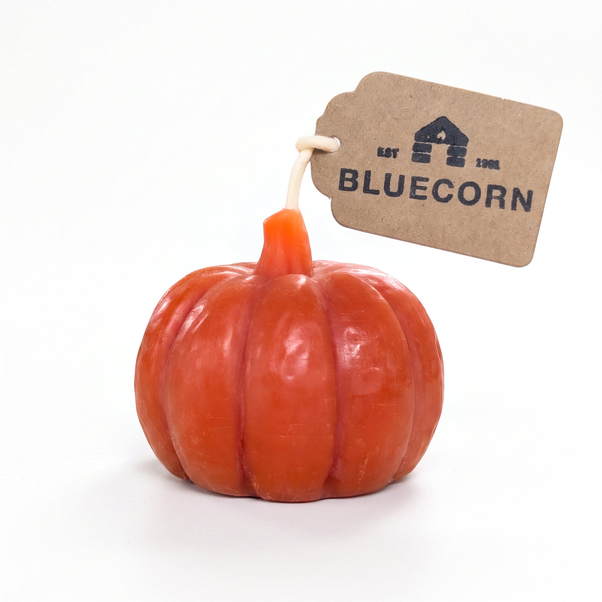 Terracotta pumpkin shaped candle made with beeswax by Bluecorn Candles on a white background