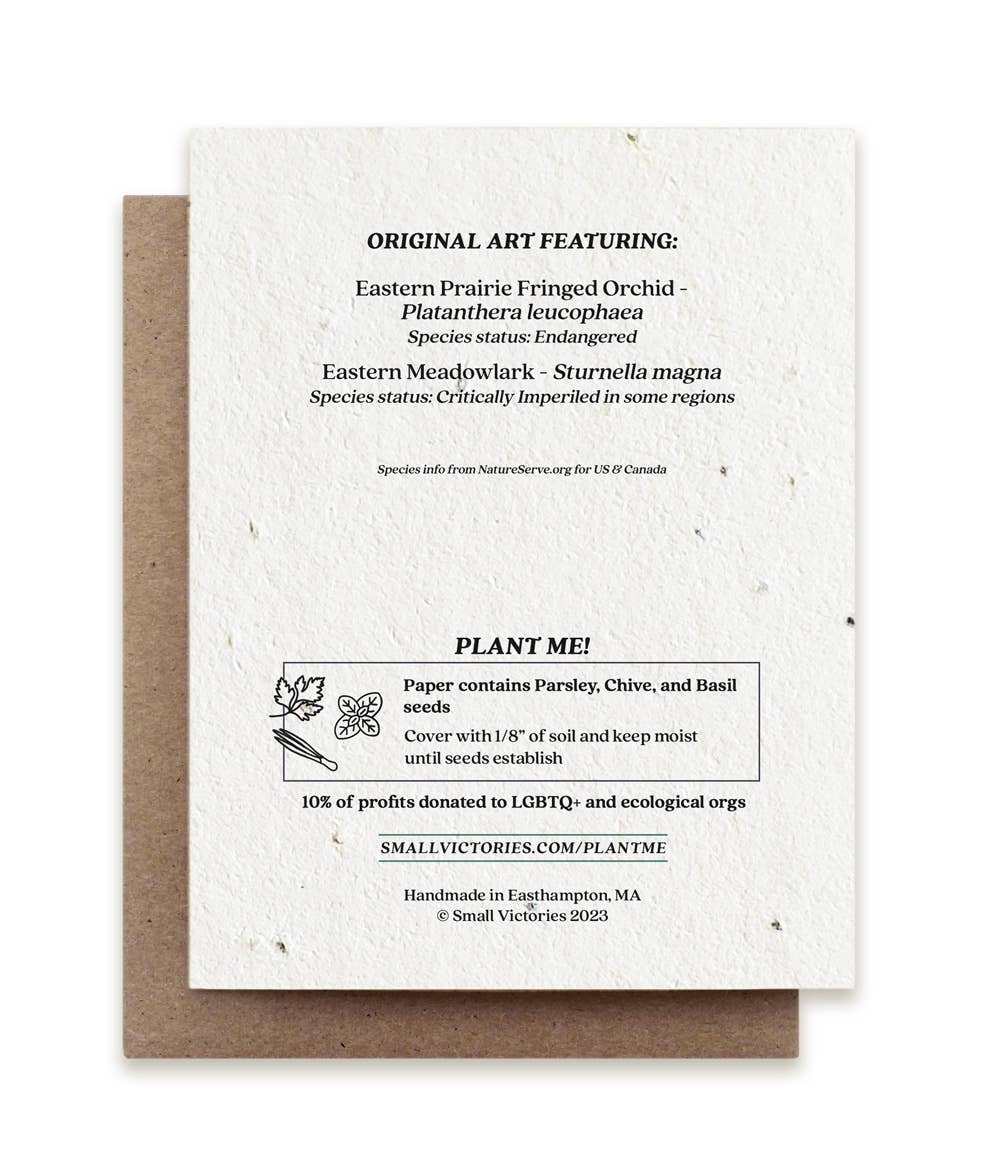 Meadowlark & Prairie Orchid | Plantable Herb Seed Card