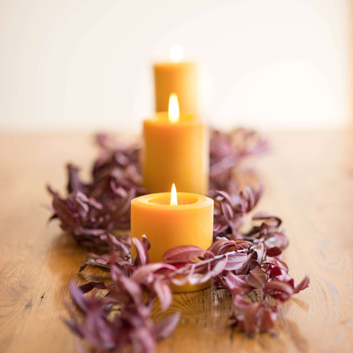Three lit bluecorn beeswax pillar candles on a decorative wreath with purple leaves on a wooden surface.