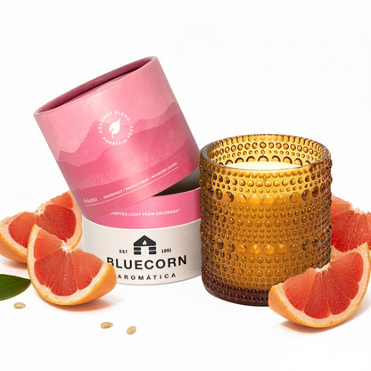 grapefruit scented candle from bluecorn aromatica surrounded by grapefruit slices on a white background