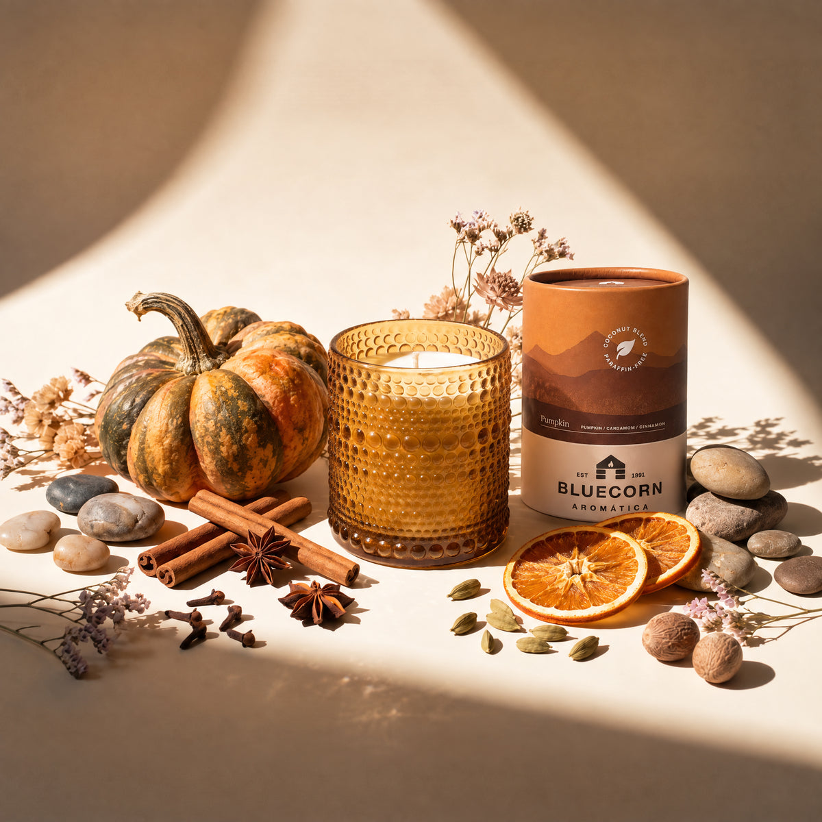 bluecorn pumpkin spice scented candle with heirloom gourd and spices surrouding it