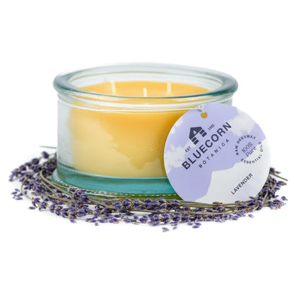 A Bluecorn Botanica lavender scented candle in a clear glass jar filled with yellow wax. The filled candle is surrounded by dried lavender and features a round, purple tag that says Bluecorn Botanica - Lavender
