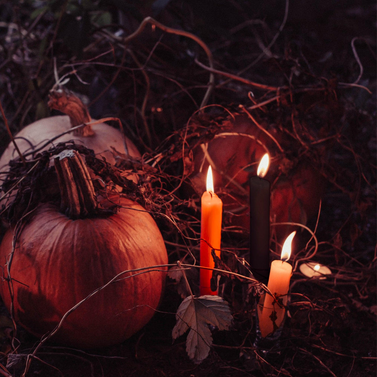 Spooky Season Beeswax Taper Candle Bundle - Apricot & Black Halloween Candles - Bluecorn Candles