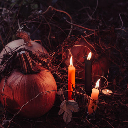 Spooky Season Beeswax Taper Candle Bundle - Apricot & Black Halloween Candles - Bluecorn Candles