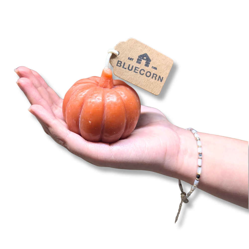 Pumpkin shaped candle in a hand with a 'Bluecorn' tag, showcasing the terracotta color.